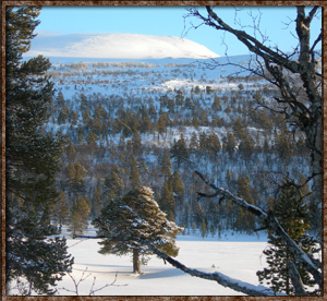 Idre Natuur omgeving