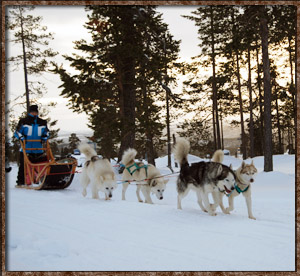 Idre camping langlaufen hondenrit honden slee husky